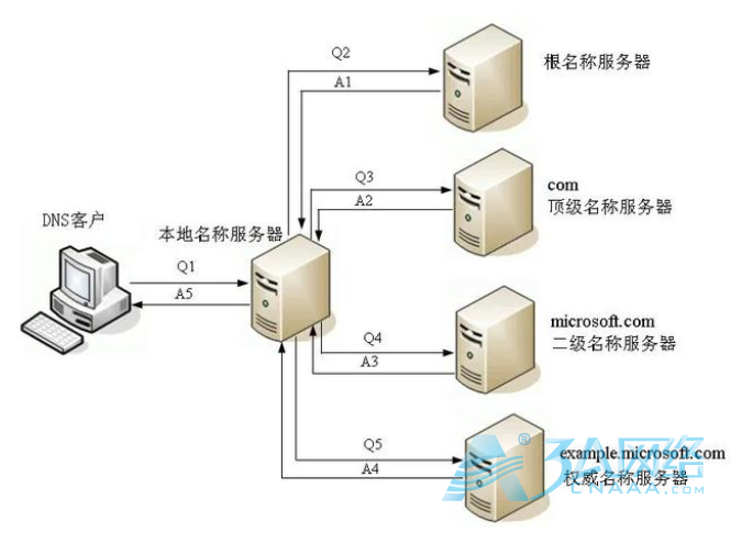 一文搞懂DNS服务器的解析原理及组成