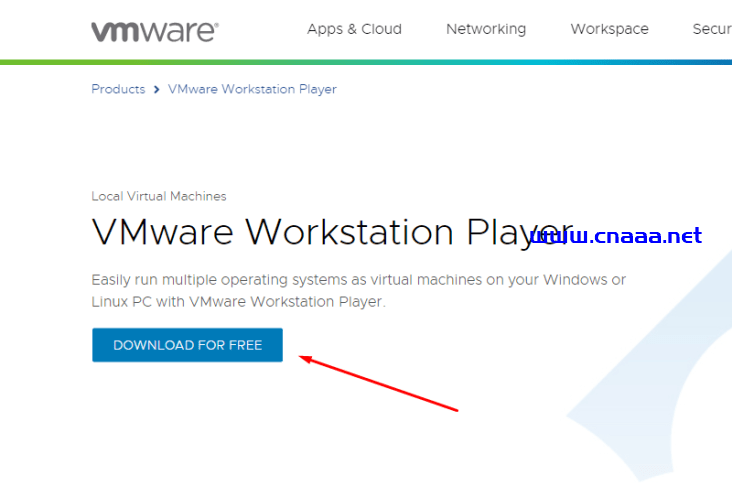 在 VMware 中安装 Kali Linux 系统的详细过程