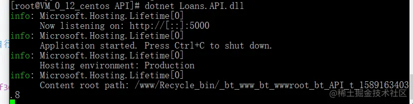 Linux 宝塔部署 ASP.NET Core 应用