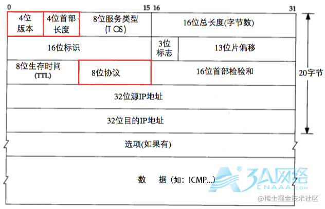 IPv4数据包格式