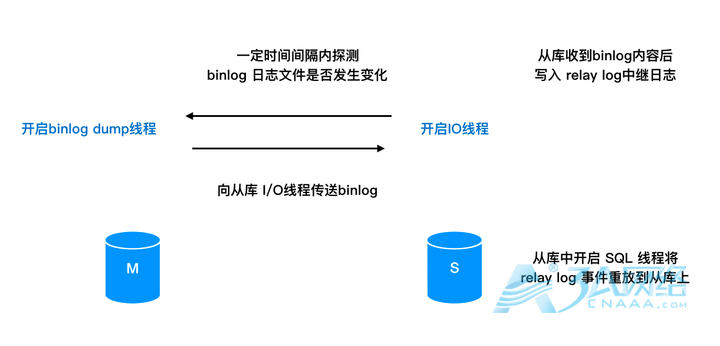 mysql的主从延迟问题主要原因及解决