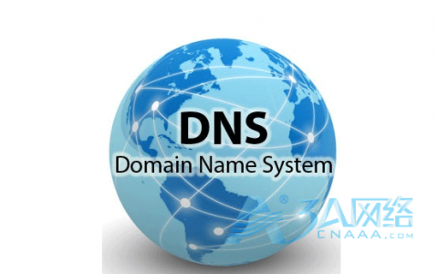 一文搞懂DNS服务器的解析原理及组成
